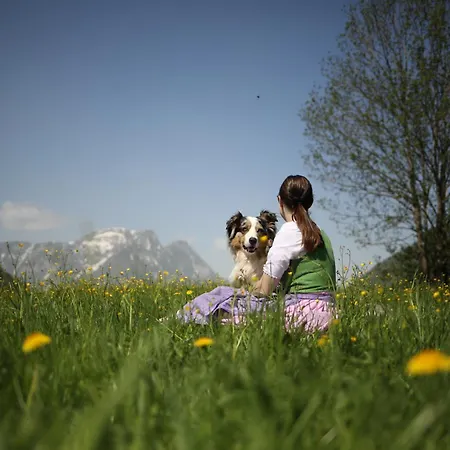Narzissendorf Zloam Grundlsee