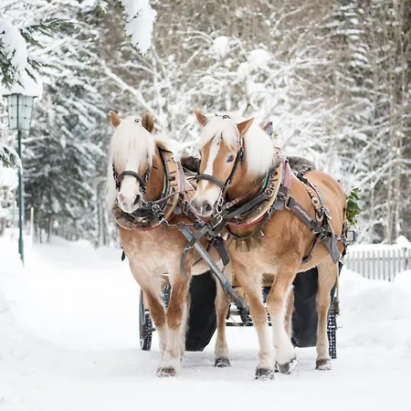 Narzissendorf Zloam Hotel Grundlsee