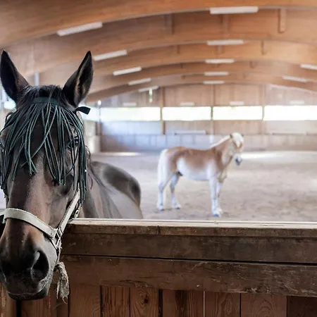 Narzissendorf Zloam Hotel
