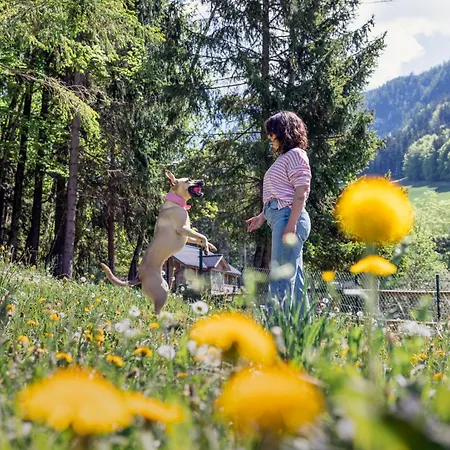 Narzissendorf Zloam *